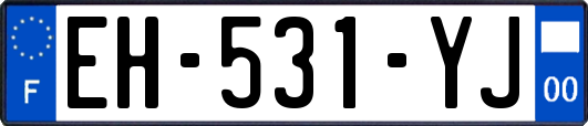 EH-531-YJ