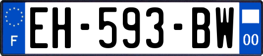 EH-593-BW