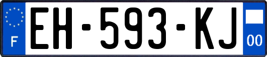 EH-593-KJ