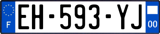 EH-593-YJ