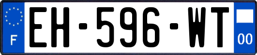 EH-596-WT