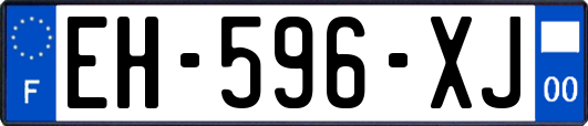 EH-596-XJ