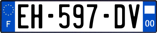 EH-597-DV