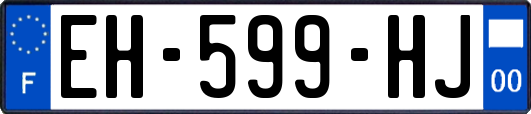 EH-599-HJ