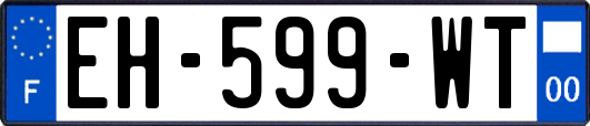 EH-599-WT