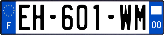 EH-601-WM