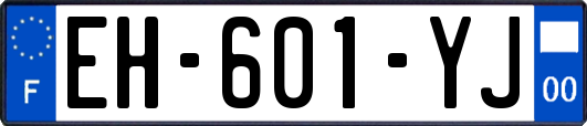 EH-601-YJ