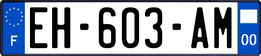 EH-603-AM