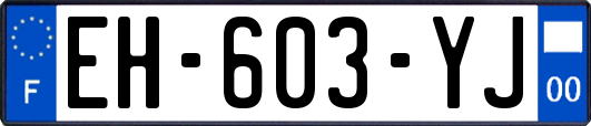 EH-603-YJ