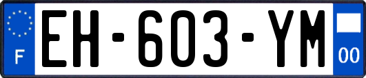 EH-603-YM