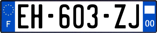 EH-603-ZJ