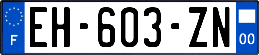 EH-603-ZN