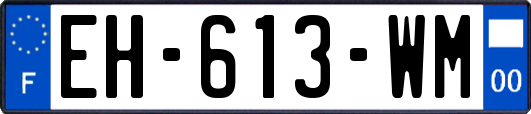 EH-613-WM