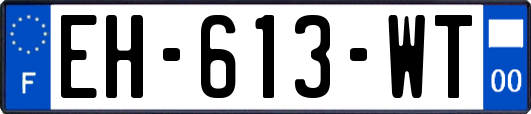 EH-613-WT