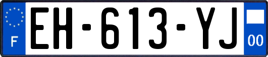 EH-613-YJ