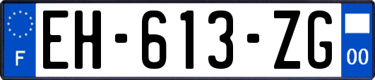 EH-613-ZG