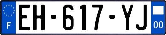 EH-617-YJ