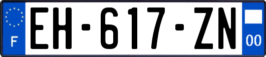 EH-617-ZN