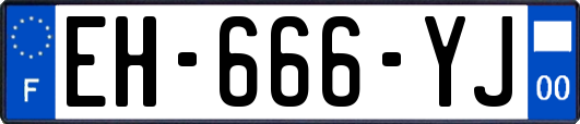 EH-666-YJ