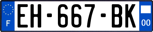 EH-667-BK