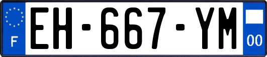 EH-667-YM