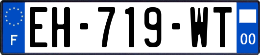 EH-719-WT