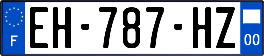 EH-787-HZ