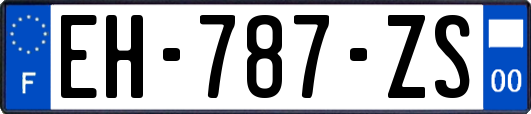 EH-787-ZS