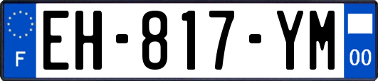 EH-817-YM