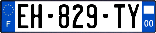 EH-829-TY