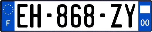 EH-868-ZY