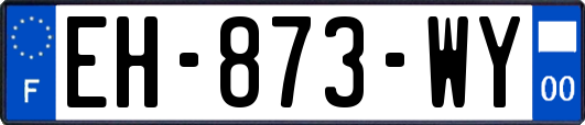 EH-873-WY