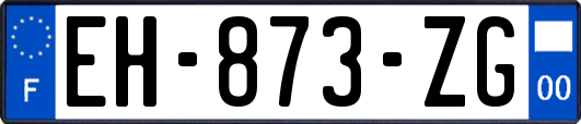 EH-873-ZG