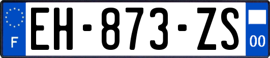 EH-873-ZS