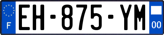 EH-875-YM