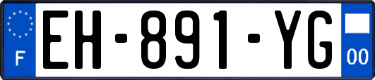 EH-891-YG