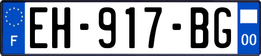 EH-917-BG