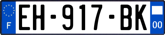 EH-917-BK