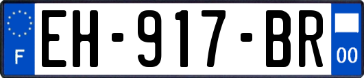 EH-917-BR
