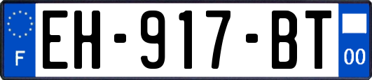 EH-917-BT