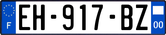 EH-917-BZ