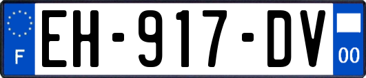 EH-917-DV