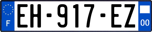 EH-917-EZ