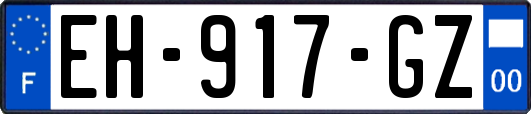 EH-917-GZ