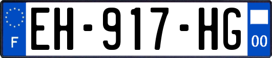 EH-917-HG