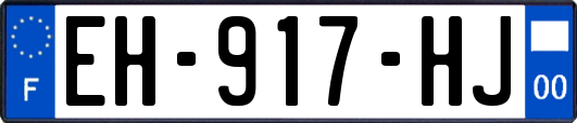EH-917-HJ