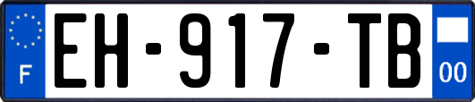 EH-917-TB