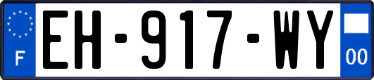 EH-917-WY