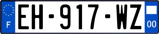 EH-917-WZ