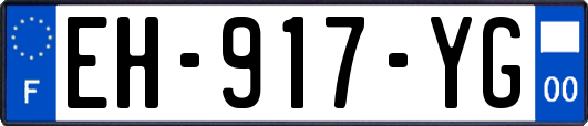 EH-917-YG